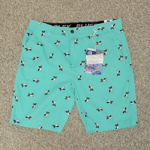 Plugg Frenchie Flex Waist Shorts men's Sz 36. 9" Inseam. teal New With Tags